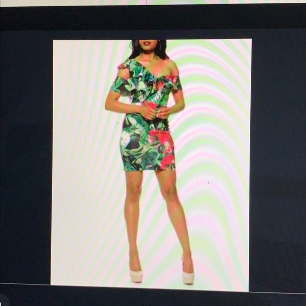 Alexia Ador floral dress.